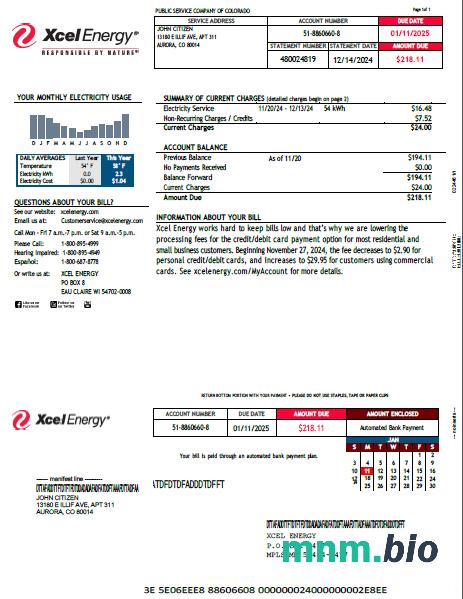 Szablon rachunku za media energetyczne USA Xcel w formatach Word i PDF, Wersja 2